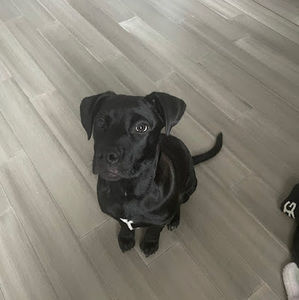 Meet your Posher, Lexi